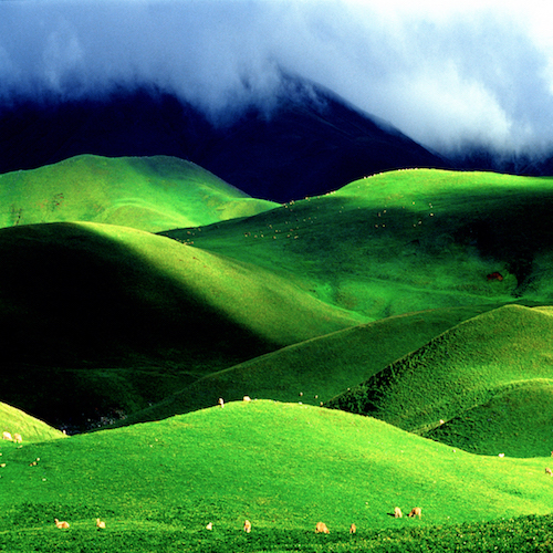 在云南最美的十大草原享受自由与宁静